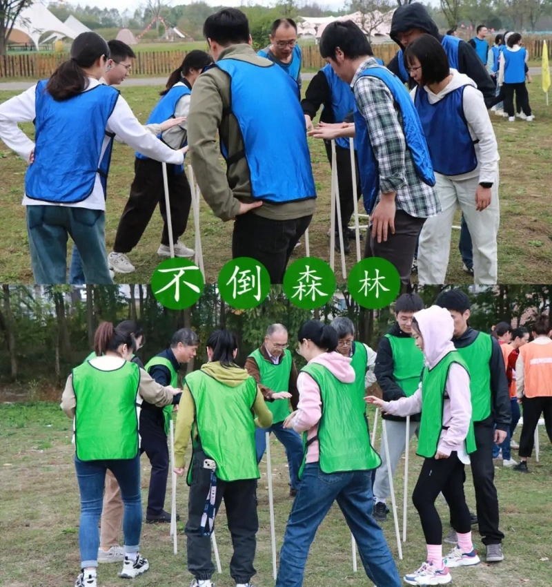 不倒森林 现场实拍图