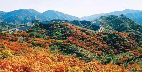 北京昌平蟒山国家森林公园场地图片
