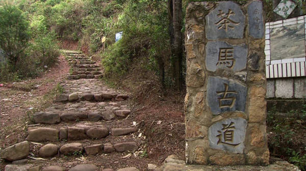 茶马古道 现场实拍图