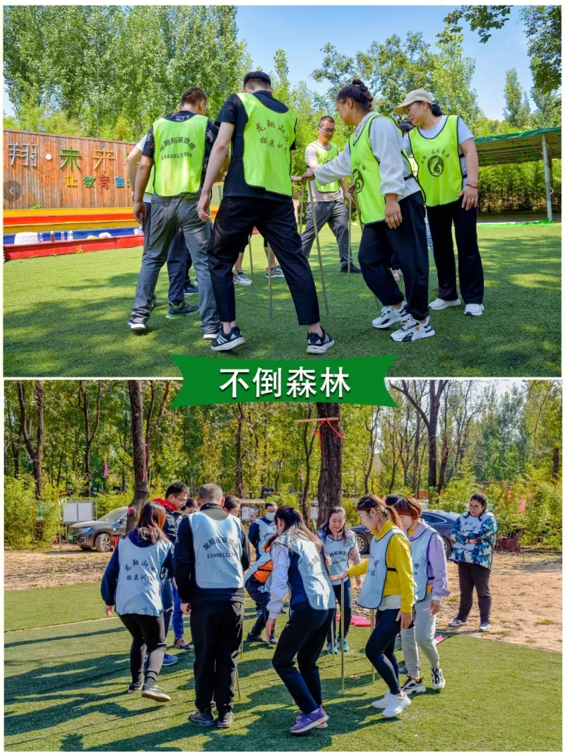 不倒森林 现场实拍图