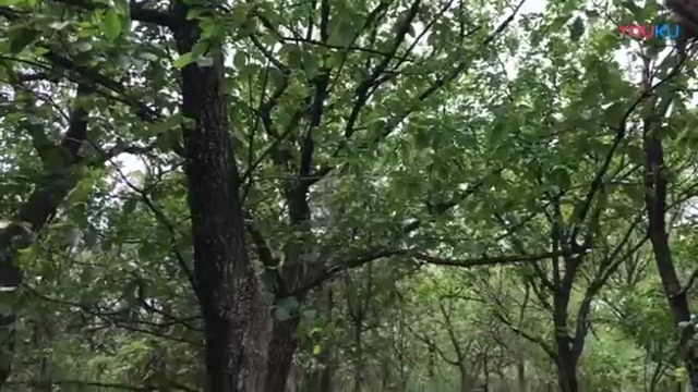 贝家花园（风声） 现场实拍图