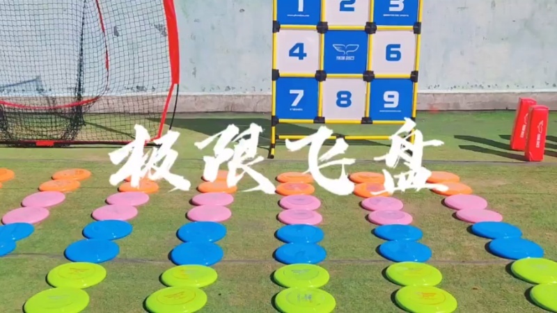极限飞盘 现场实拍图