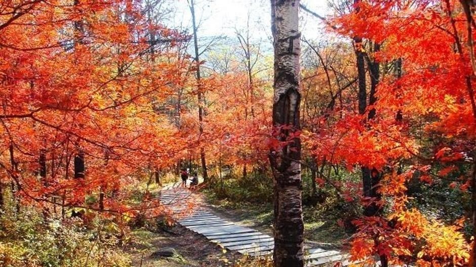 香山公园场地图片