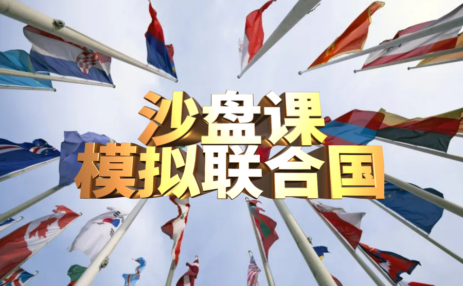 模拟联合国