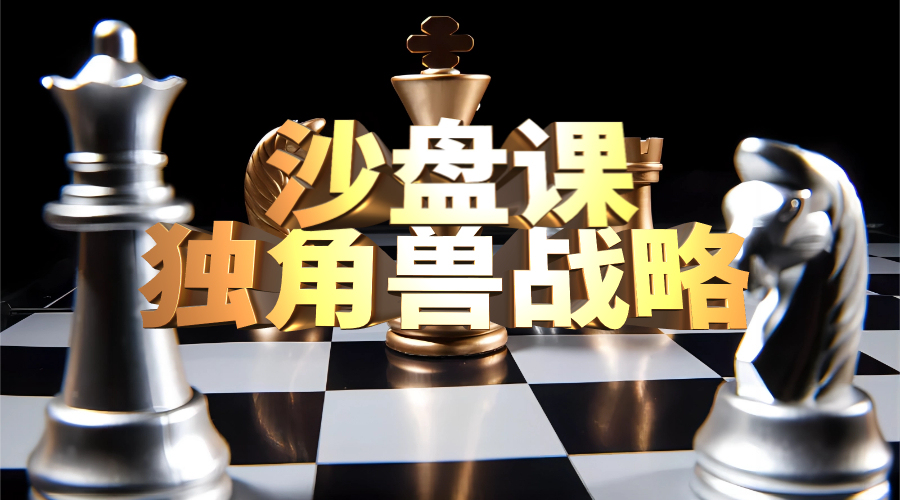 独角兽战略