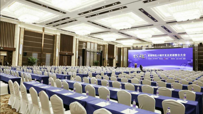 龙熙维景国际会议中心场地图片