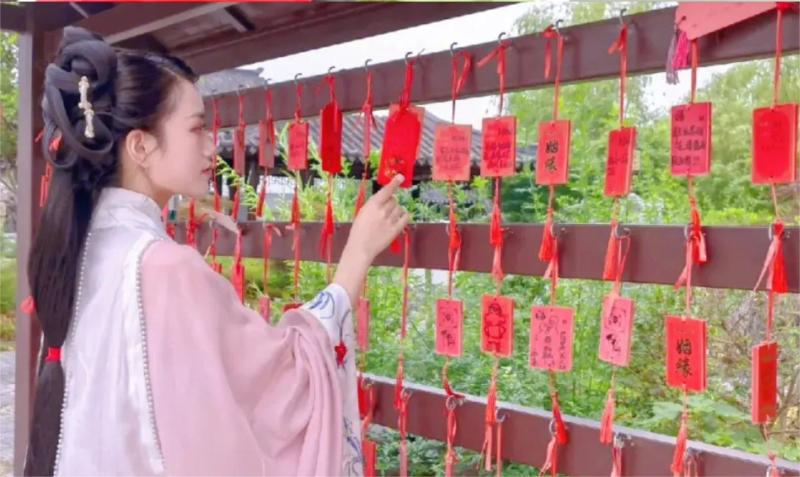 端午节 现场实拍图