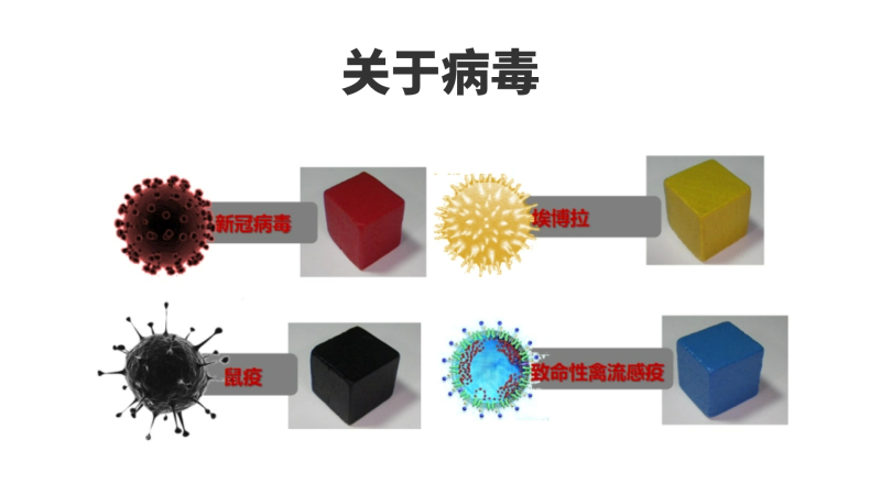 病毒来袭 现场实拍图