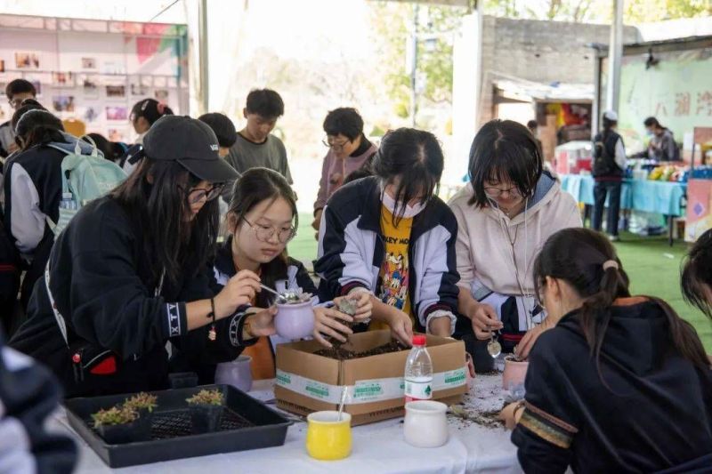 亲子露营 现场实拍图