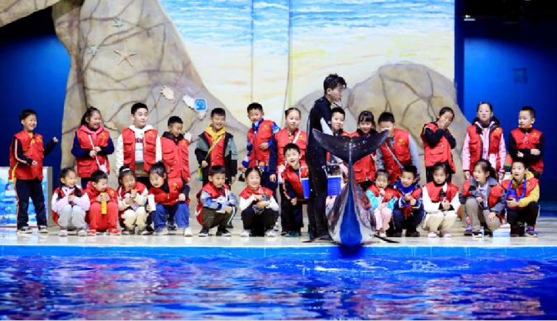 探索海洋馆 现场实拍图