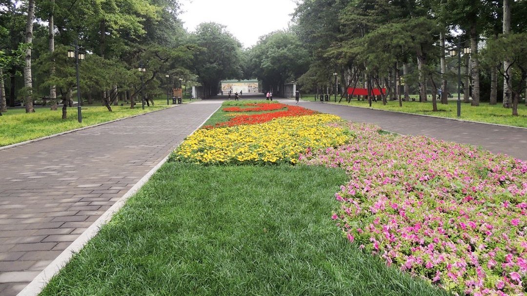 日坛公园场地图片