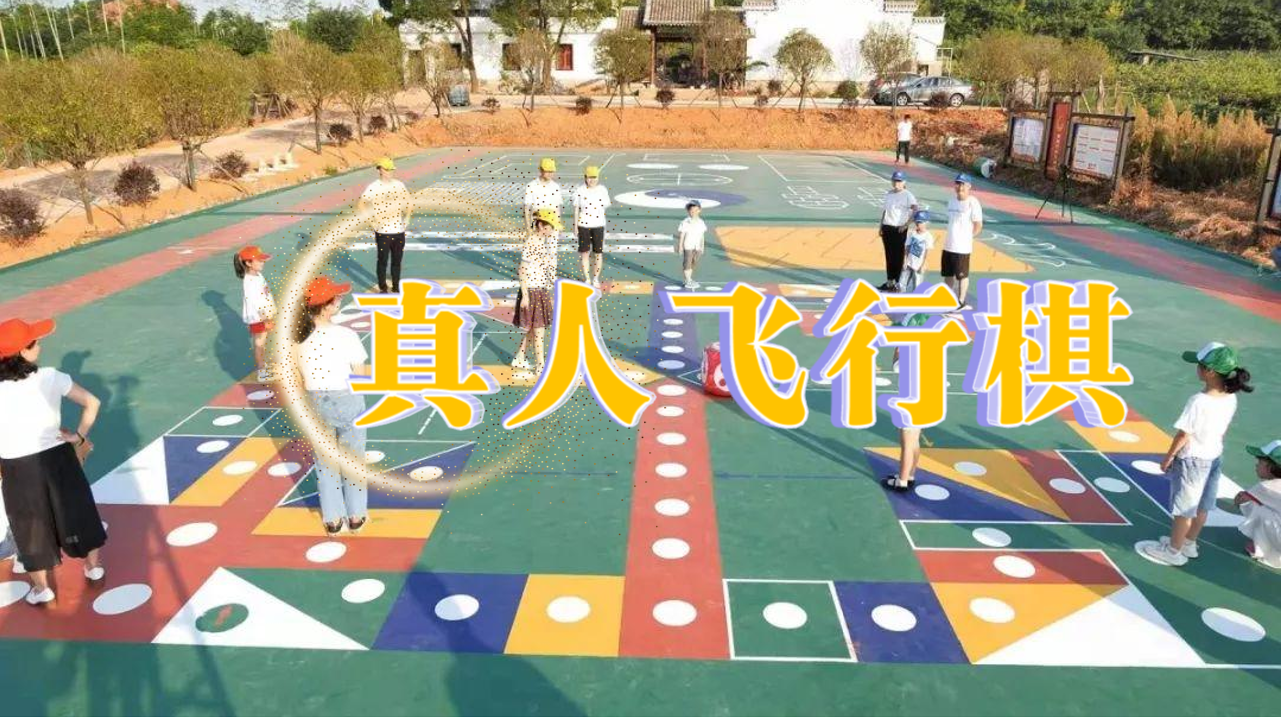 真人飞行棋