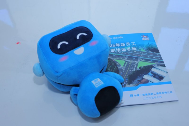 【中建一局二公司】新员工培训 现场实拍图