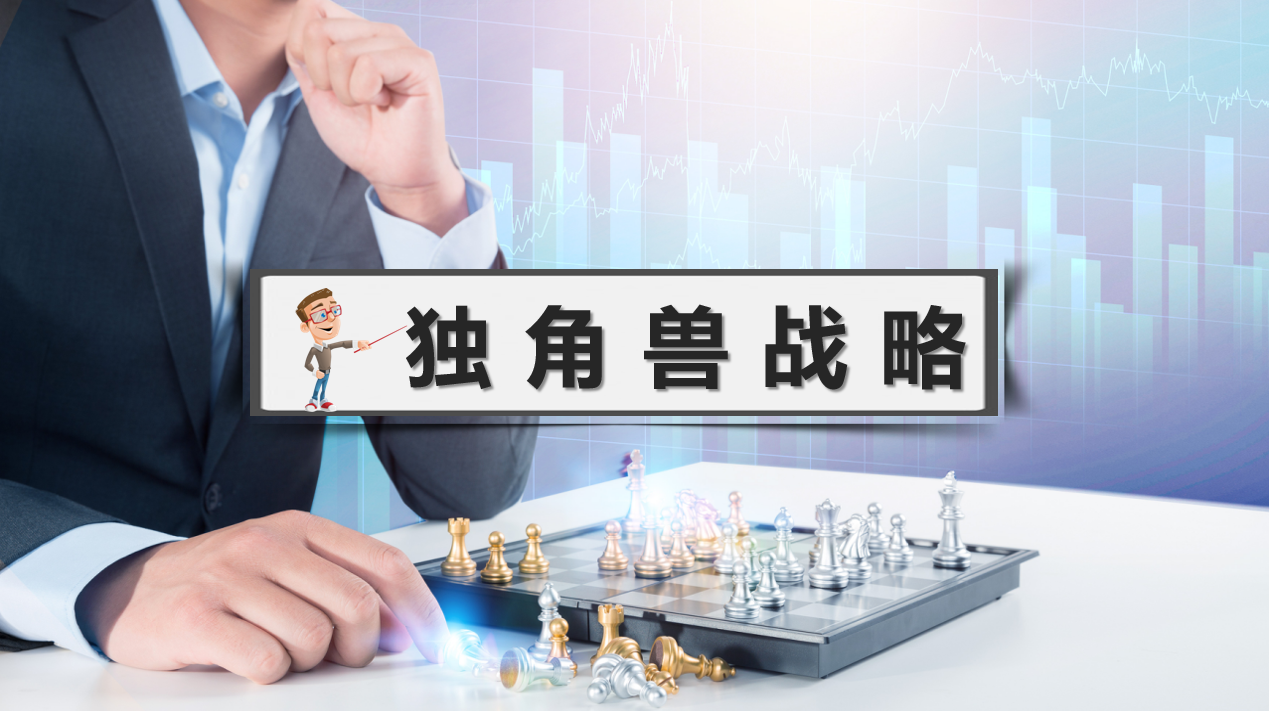 独角兽战略——驱动公司价值的关键要素