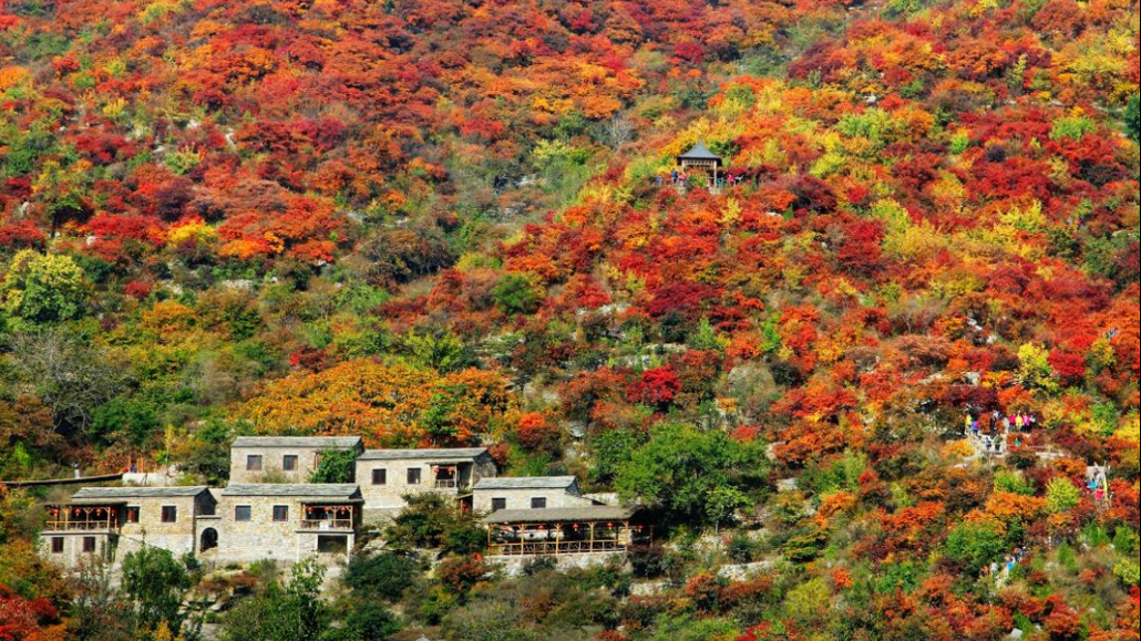 云上石屋场地图片