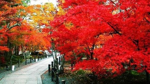 香山公园场地图片