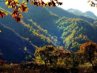 北京密云云蒙山国家森林公园场地图片