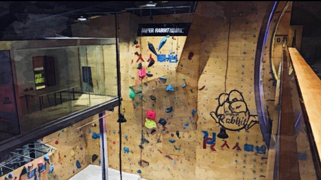 Super Rabbit运动汇场地图片