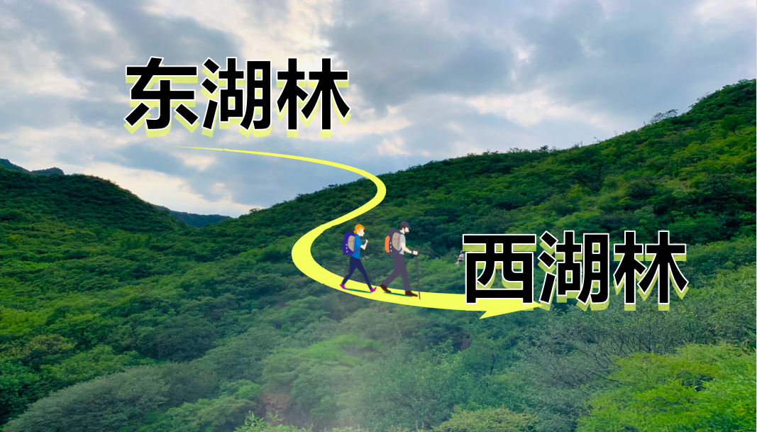 东湖林-西湖林