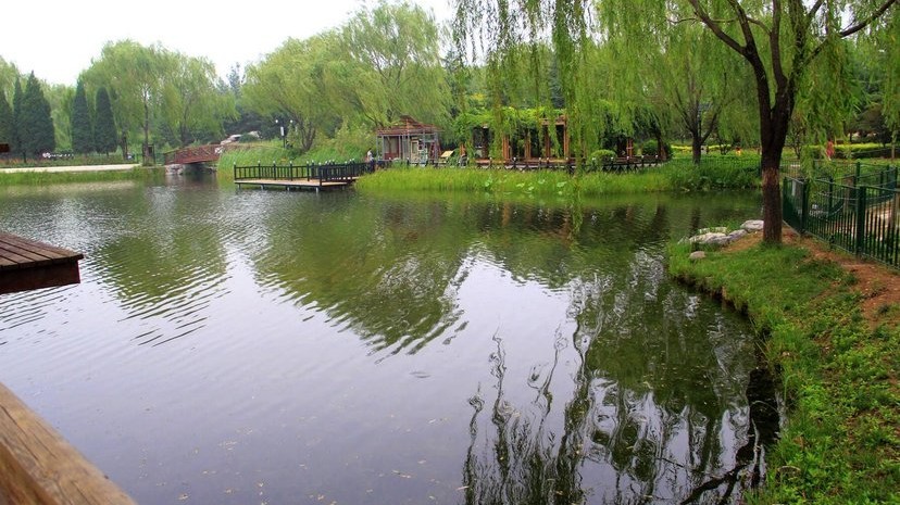 古塔公园场地图片