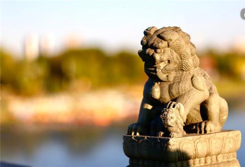 北京丰台卢沟桥场地图片
