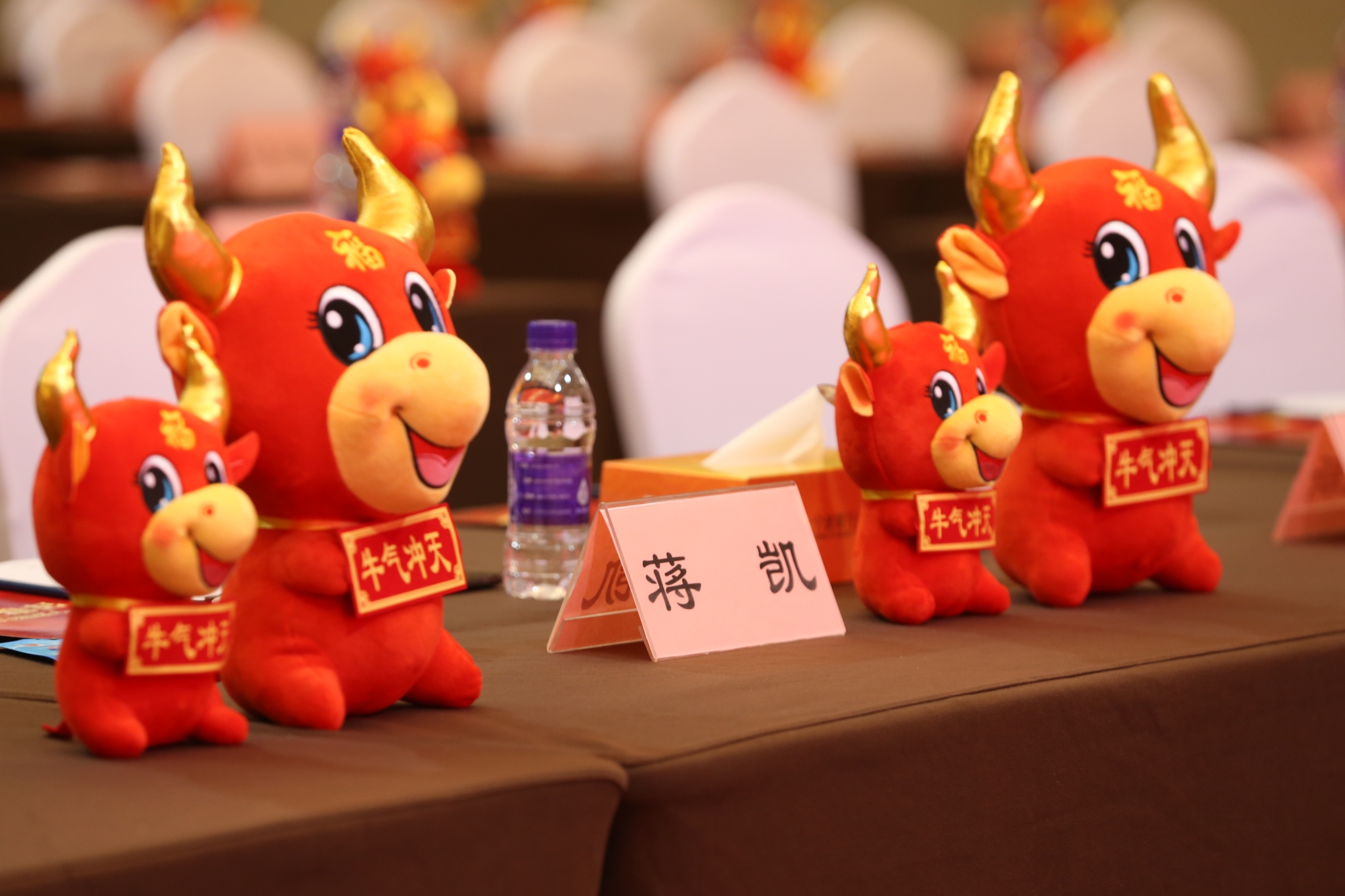 宁波银行 | 2021年度工作会议活动现场