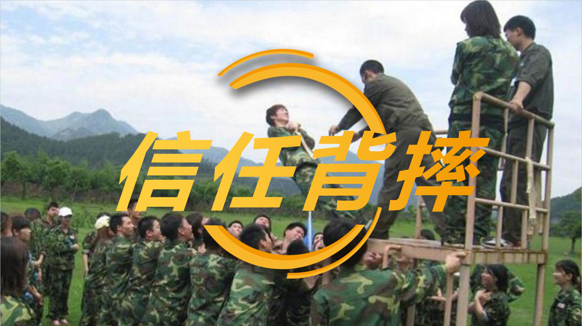拓展训练-信任背摔