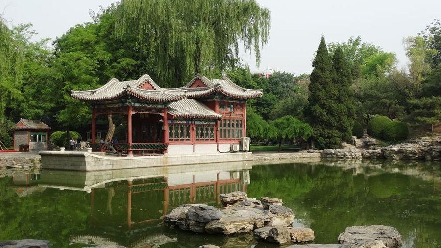 日坛公园场地图片