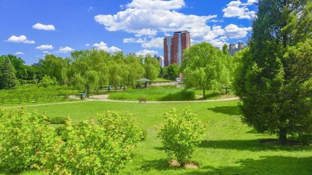 四得公园场地图片