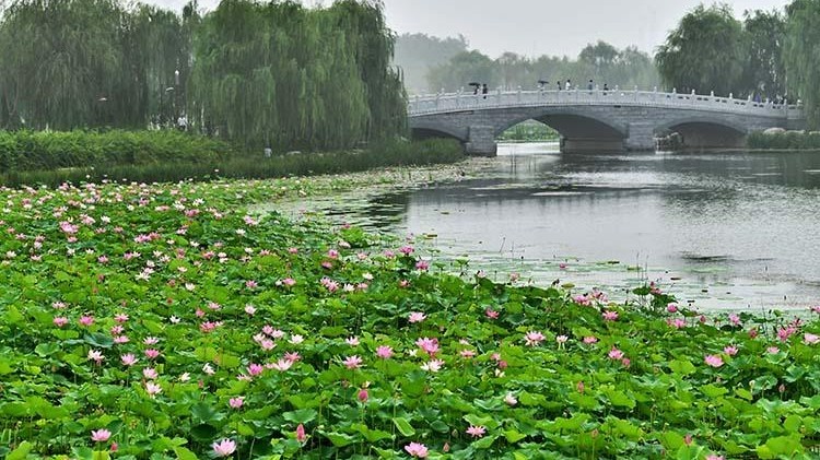 南海子公园场地图片
