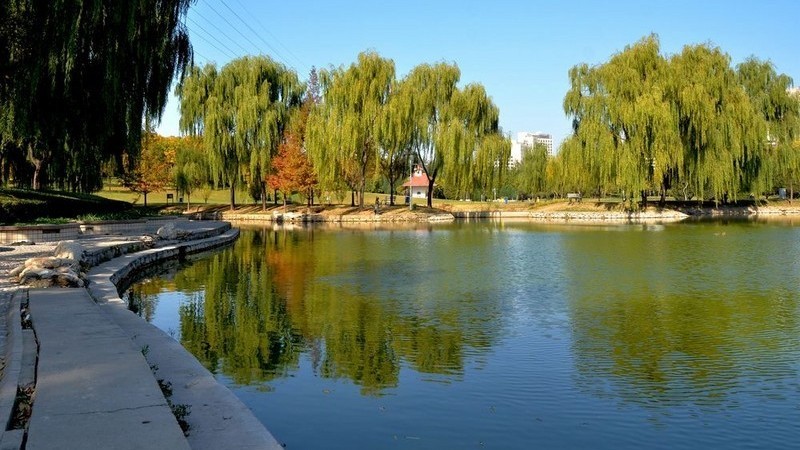 四得公园场地图片