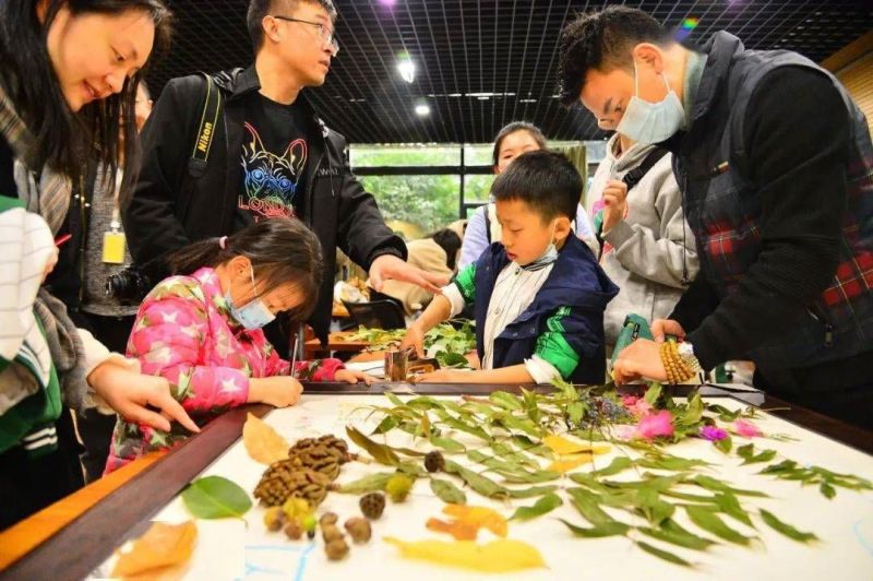 亲子露营 现场实拍图
