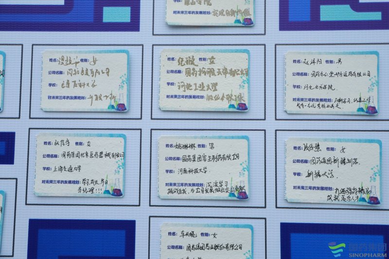 【国药集团种子学院】新员工培训 现场实拍图