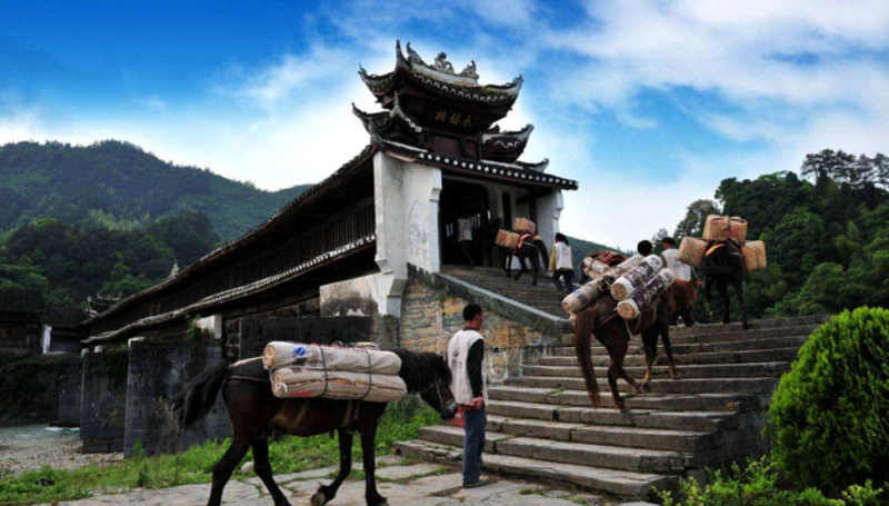 茶马古道 现场实拍图