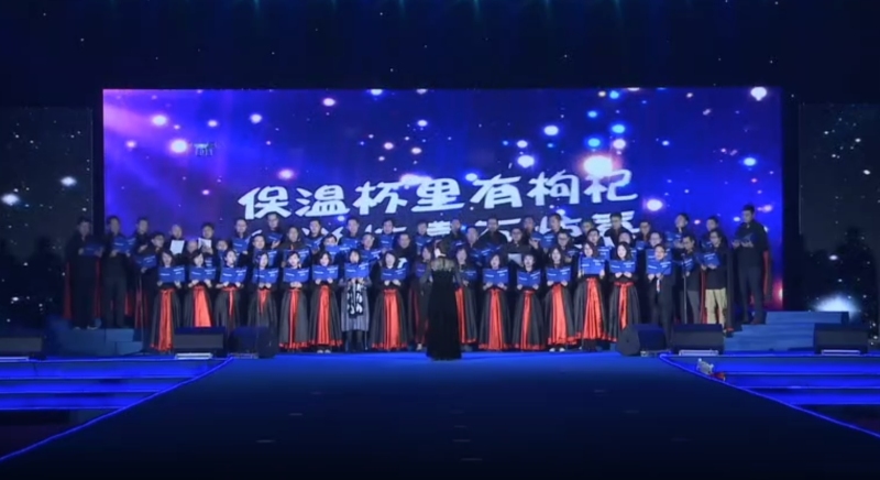 企业年会-BOSS秀参考 现场实拍图