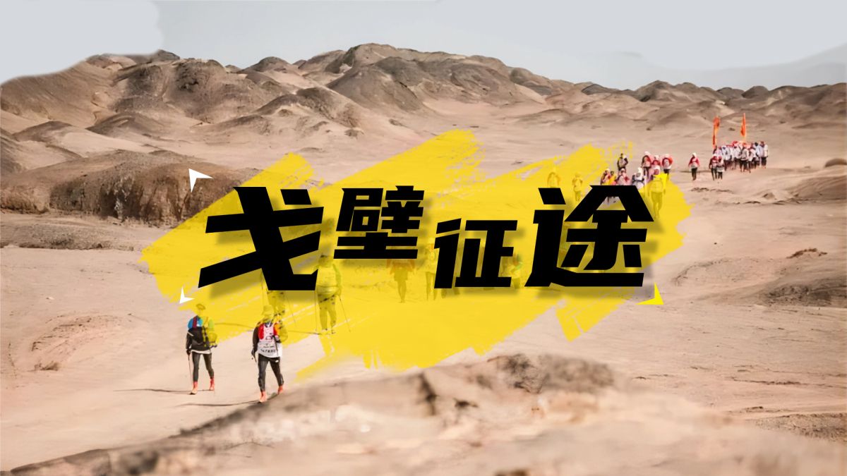 戈壁征途