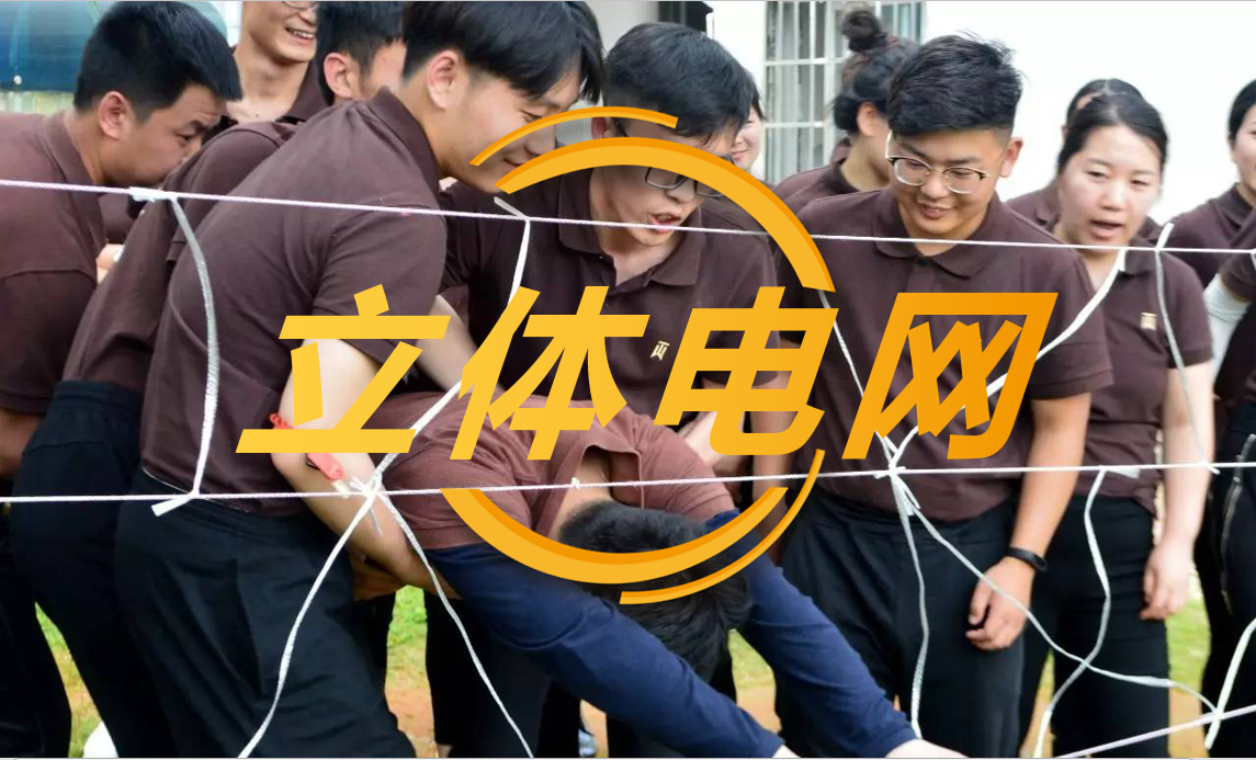 立体电网