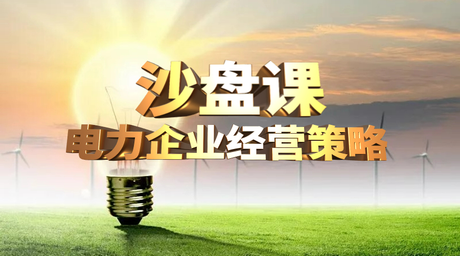 电力企业经营策略