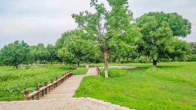 奥林匹克森林公园北园场地图片