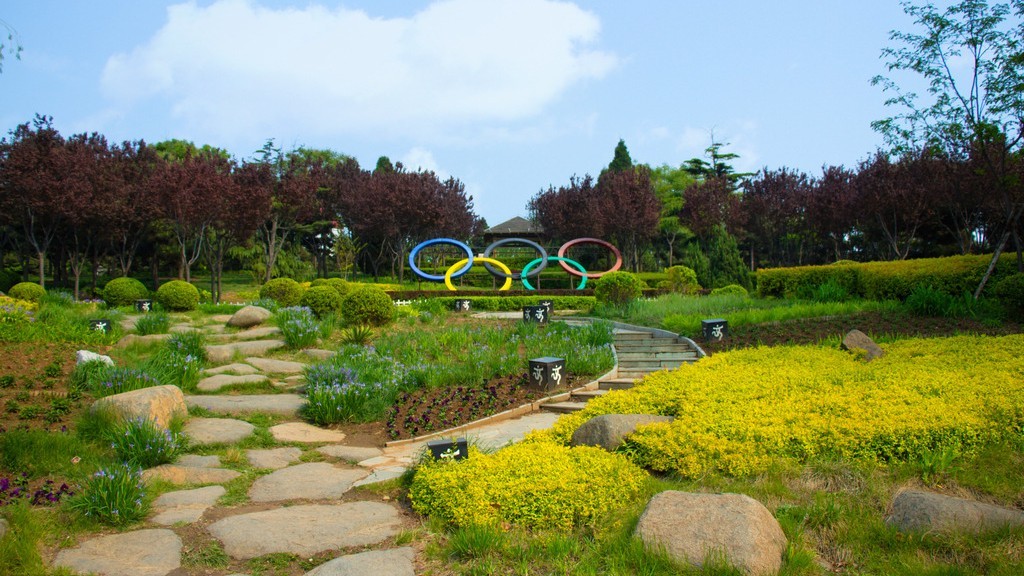 奥林匹克森林公园南园场地图片