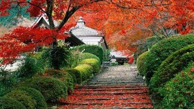 香山公园场地图片