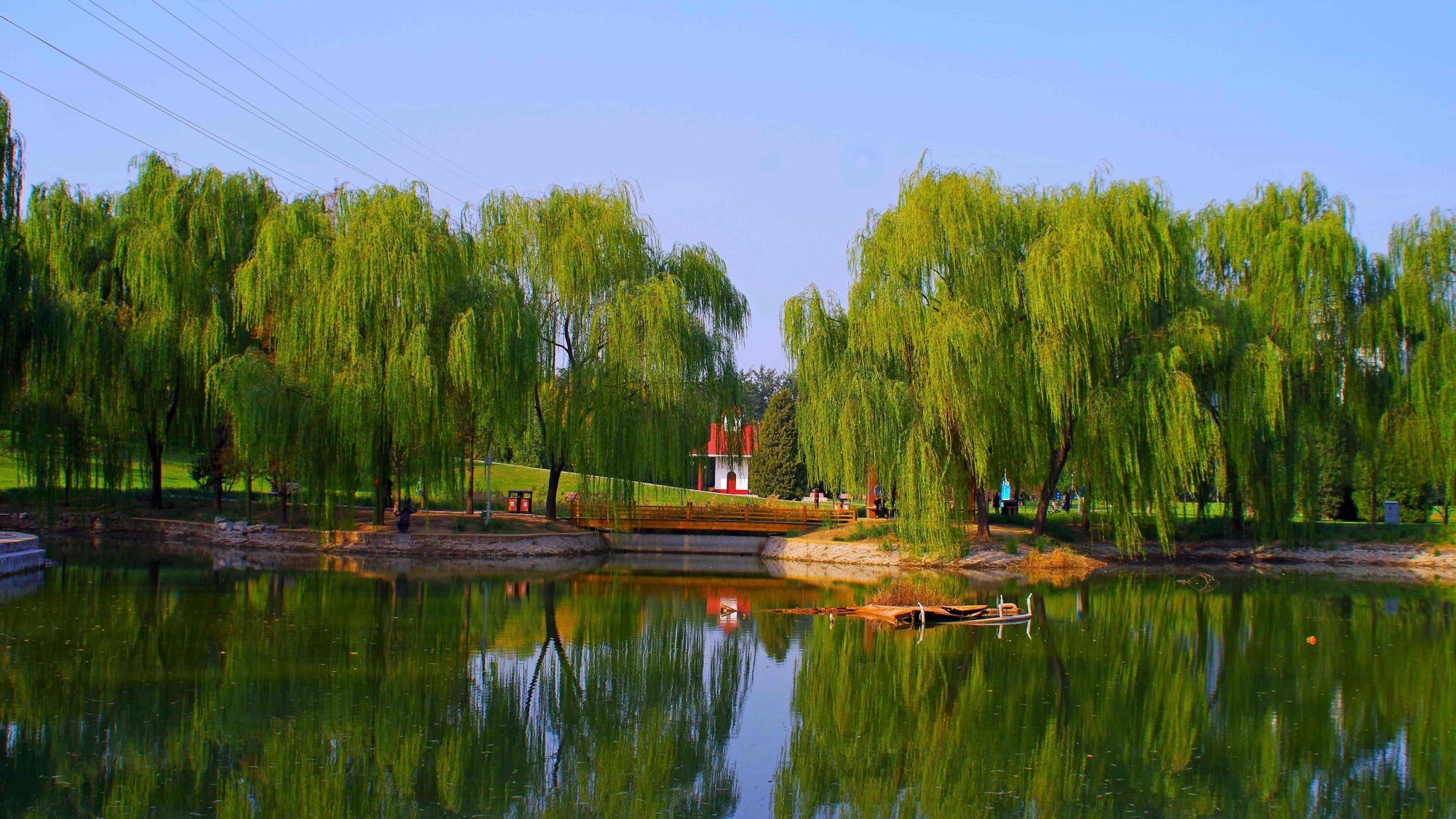 四得公园场地图片