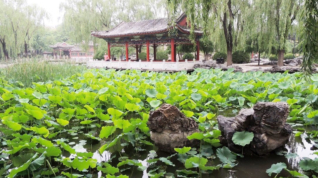 日坛公园场地图片