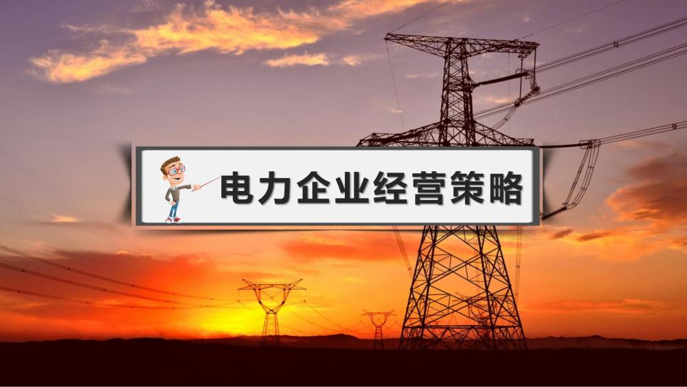 电力企业经营策略