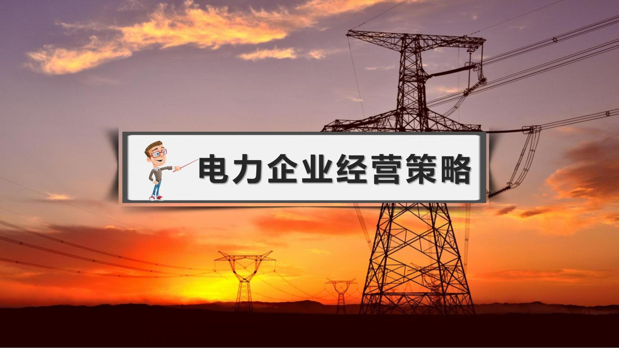 电力企业经营策略
