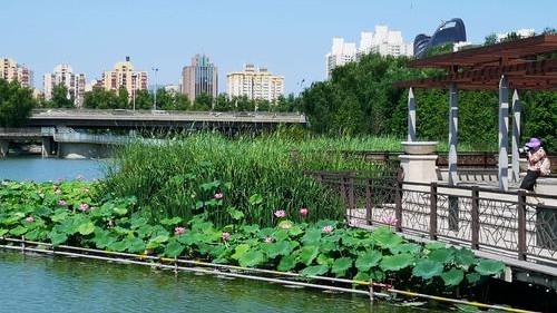 红领巾公园场地图片
