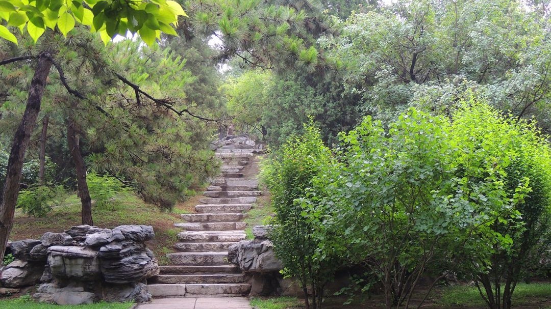 日坛公园场地图片