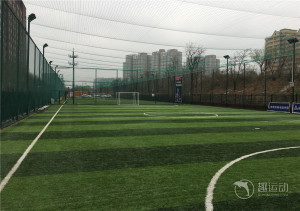 旋风球场（足球）