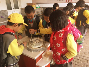 北京密云玫瑰情园场地图片