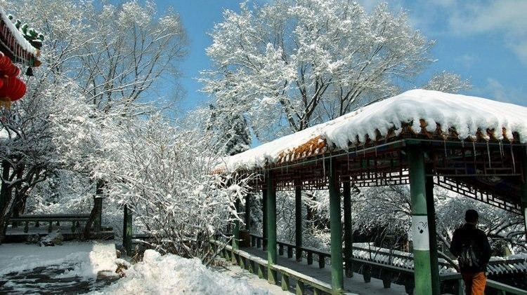 古塔公园场地图片